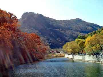 新澳天天开奖资料大全旅游团，崔玉玲